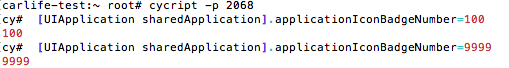 iOS-Cycripty-BadgeNumber-Code
