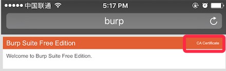 iOS-Security-Network-Burp-Proxy-Https-Install